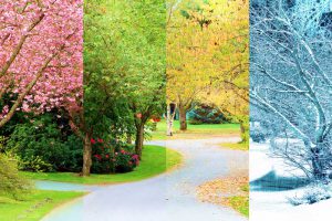 COMMENT LES SAISONS INFLUENT SUR NOTRE PEAU…