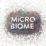 À LA DÉCOUVERTE DU MICROBIOME