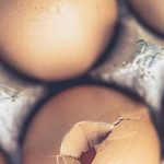 EXISTE-T-IL UN MENU « BELLE PEAU » ?