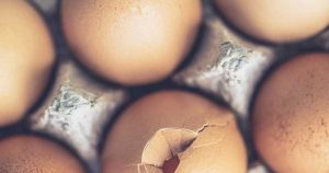 EXISTE-T-IL UN MENU « BELLE PEAU » ?