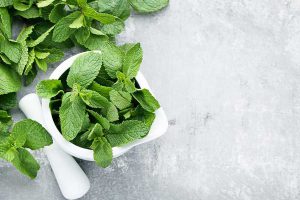 ON DIT OUI AU MENTHOL PURIFIANT !