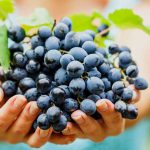 LA CURE DETOX AU RAISIN, ELLE A TOUT BON !