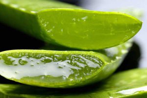 L’ALOE VERA, UN INGRÉDIENT AU TOP POUR UNE PEAU HYDRATÉE