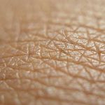 PARTEZ À LA DÉCOUVERTE DE VOTRE PEAU