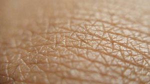 PARTEZ À LA DÉCOUVERTE DE VOTRE PEAU