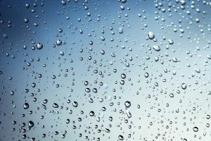 ZOOM SUR LES ACTIFS MICROENCAPSULÉS