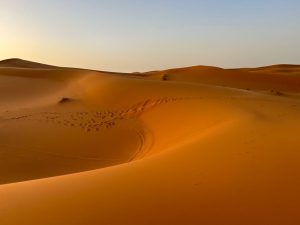 3 recettes maison à l'huile d'argan pour nourrir, exfolier et illuminer votre peau argan oil beauty skincare natural ingredients moroccan landscape golden hour