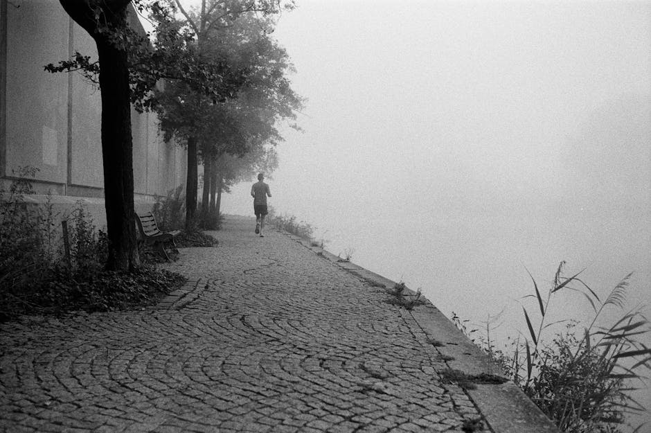 5 bonnes raisons de se mettre à la course à pied cette saison scenic running route along a river or park path morning light