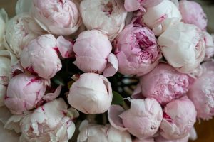 collection of beautiful flowers peony rose jasmine iris orange blossom skincare flat lay