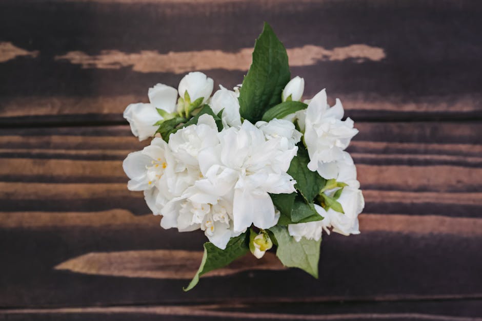 5 fleurs aux vertus beauté exceptionnelles pour sublimer votre peau jasmine flowers white petals wooden surface natural skincare