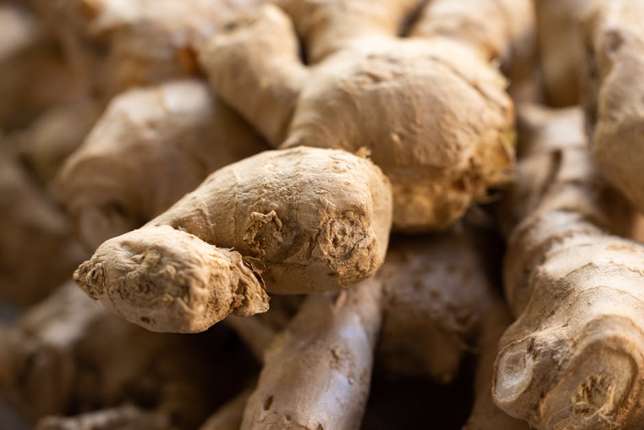 5 super-aliments pour retrouver de l'énergie à la fin de l'hiver fresh ginger root and cinnamon sticks on rustic wooden surface