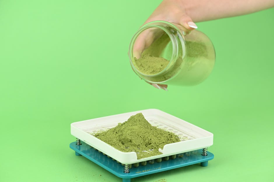 5 super-aliments pour retrouver de l'énergie à la fin de l'hiver spirulina powder and capsules in small bowls with green smoothie
