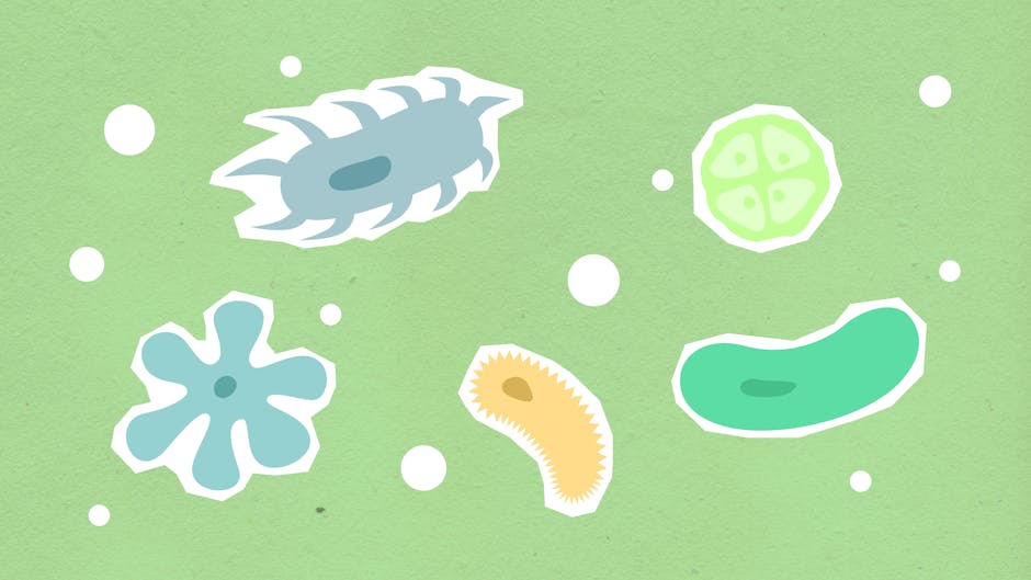 Le microbiome cutané : comprendre cet écosystème invisible qui protège votre peau illustration skin layers microbiome bacteria microscope concept