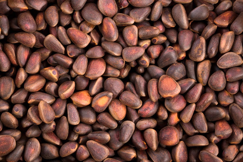 Vitamines A, C, D et E en été : rôles, bienfaits et sources alimentaires pour la peau vitamin E rich foods nuts seeds oils skincare