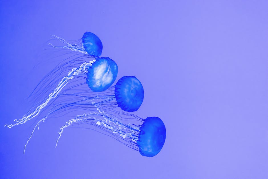 Actifs étranges mais efficaces : bave d'escargot, venin de serpent et autres ingrédients surprenants en cosmétique jellyfish ocean collagen marine skincare beauty