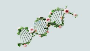 Diagnostic génétique et vieillissement cutané : personnaliser son programme anti-âge grâce à l'ADN DNA strand skin aging science personalized beauty landscape