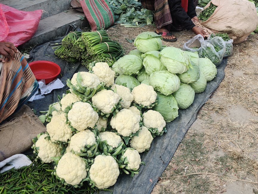 Cure détox : les 5 légumes les plus efficaces pour purifier l'organisme variety cabbages broccoli cauliflower market