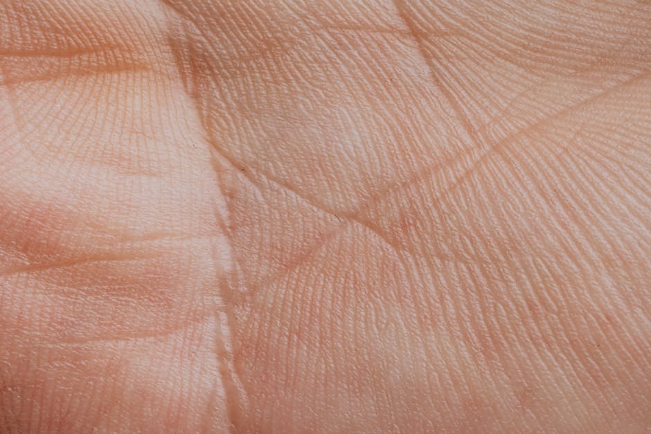 L'épiderme : rôle, structure et fonctions de protection de la peau close-up cross-section illustration human skin epidermis layers