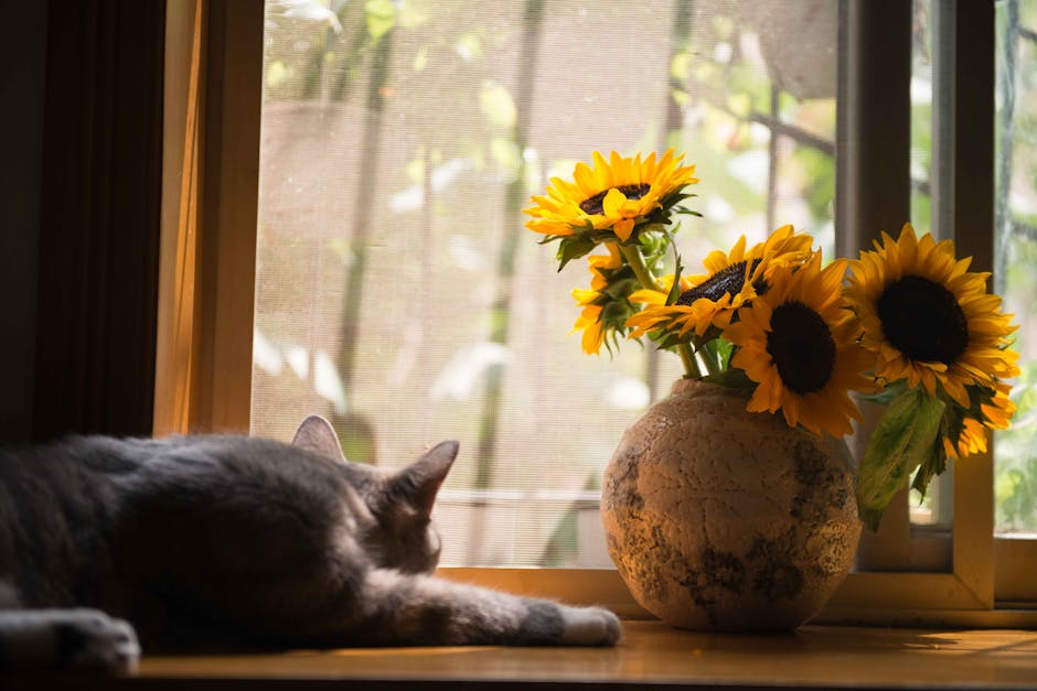 sunflower oil glass bottle with sunflowers wooden table