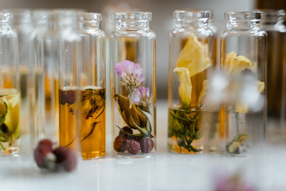 Huile visage : bienfaits, utilisation et conseils pour une peau éclatante various plant-based face oils ingredients rosehip argan botanical