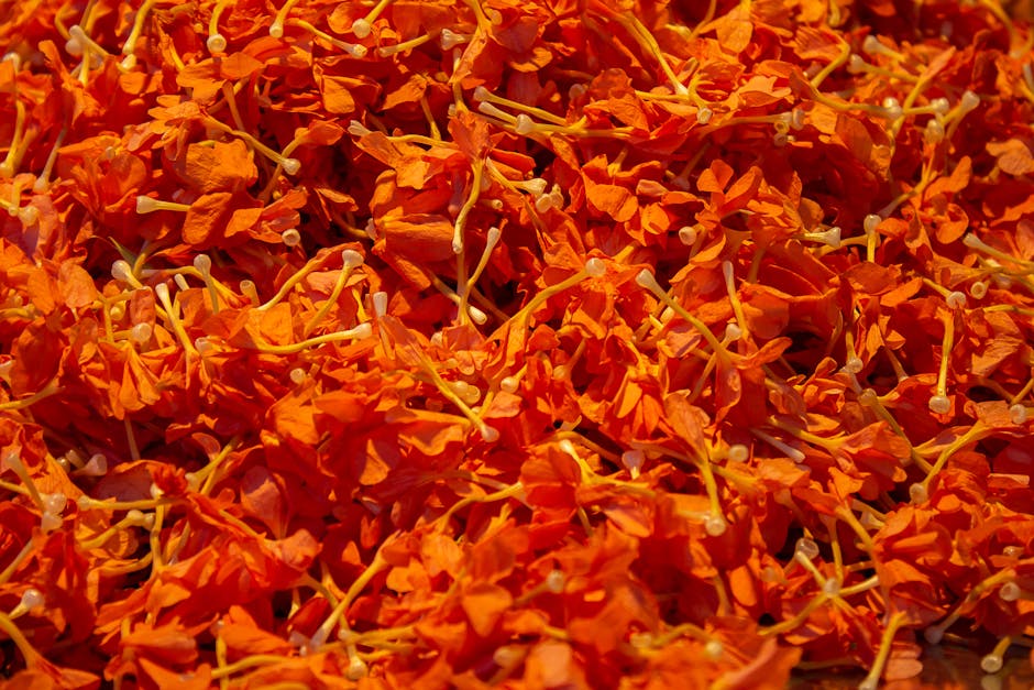 Fleur d'oranger : bienfaits beauté et utilisations pour la peau orange blossom white flowers close up natural beauty
