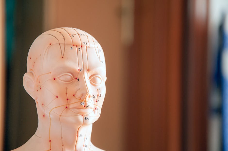 Ride du lion : comprendre ses causes et les soins pour l'atténuer diagram illustration facial muscles forehead frown lines anatomy