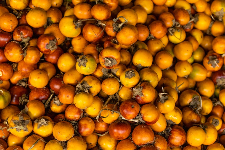 Le lucuma : bienfaits pour la peau et propriétés anti-âge de ce superfruits des Andes lucuma fruit yellow tropical andes peru