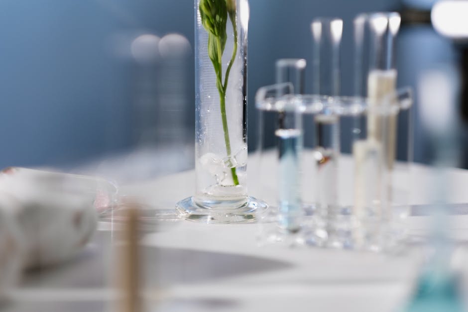 Pro-Xylane : tout savoir sur cet actif anti-âge qui reconstruit la peau birch tree bark extract laboratory cosmetic research natural active ingredient