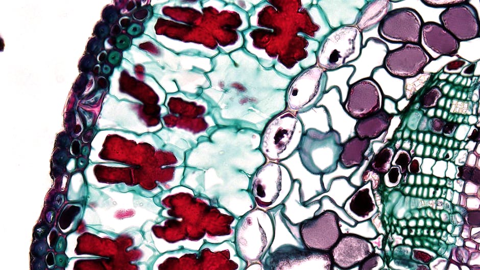 Cosmétique végétale : pourquoi les plantes révolutionnent nos soins de beauté close-up plant cells botanical research laboratory