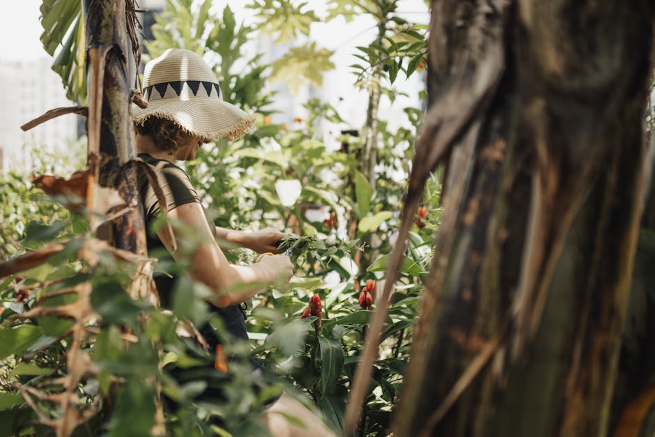 Cosmétique végétale : pourquoi les plantes révolutionnent nos soins de beauté sustainable botanical harvesting ethical sourcing plants nature