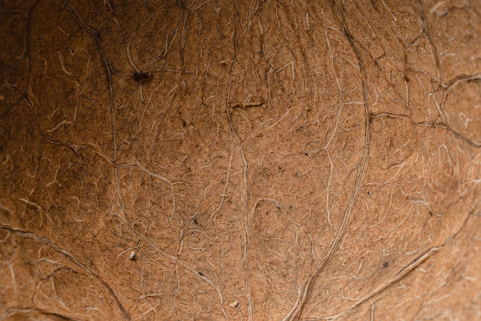 Aliments énergisants : les super-aliments qui combattent la fatigue au quotidien ginseng root guarana seeds natural background