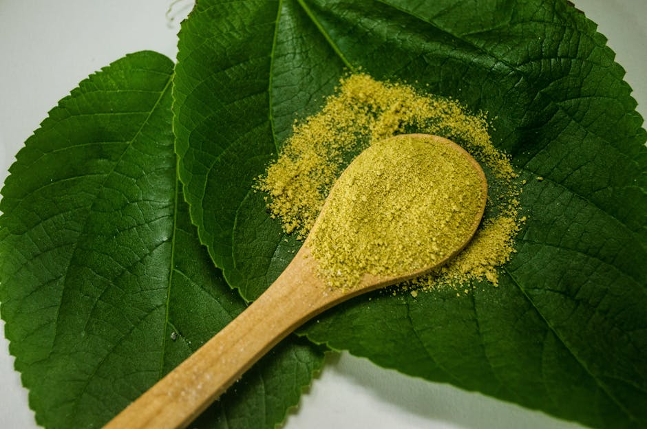 Le thé et la peau : bienfaits des polyphénols, du thé vert au thé blanc green tea leaves polyphenols antioxidant beauty