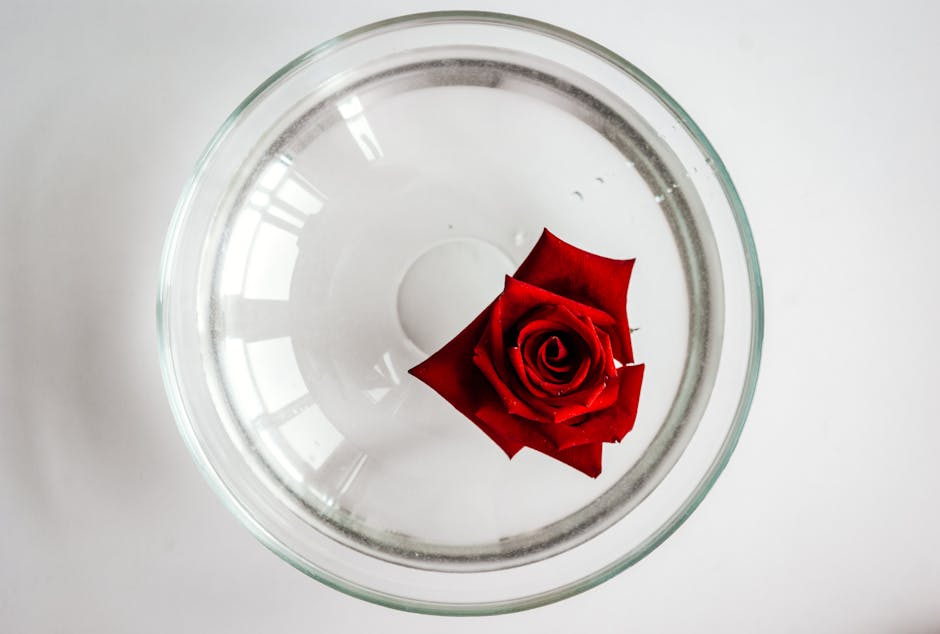 Eaux de beauté : thermale, florale, micellaire ou de soin — laquelle choisir ? glass bottle hydrosol floral water rose lavender natural beauty