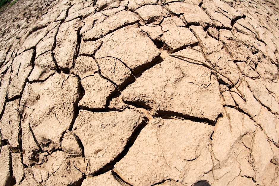 Se coucher sans se démaquiller : ce qui arrive vraiment à votre peau dry skin close-up texture dehydrated face morning