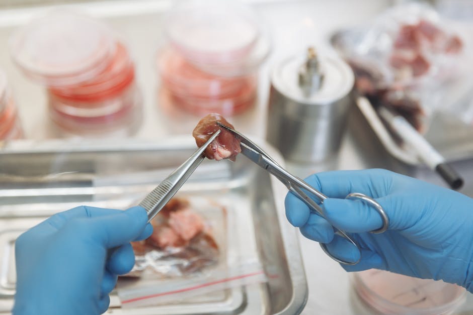 Peau reconstruite en laboratoire : comment la science remplace les tests sur animaux laboratory skin tissue culture close-up scientific research