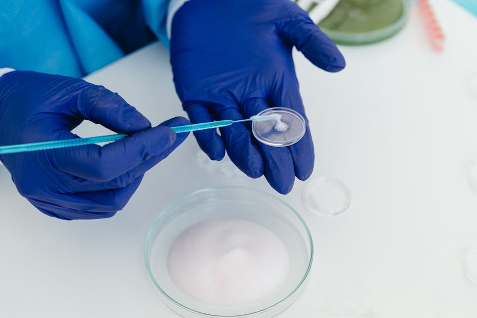 Peau reconstruite en laboratoire : comment la science remplace les tests sur animaux ethical cosmetic testing dermatology research skin sample