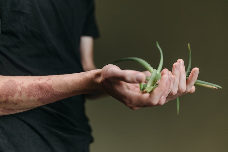 Aloe Vera : 10 façons d'utiliser ce gel miracle pour la peau, les cheveux et les ongles hands holding aloe vera leaf with green gel texture close up