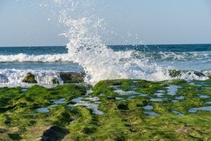 Les bienfaits de la mer reproduits à la maison : eau salée, algues et sable pour une peau sublimée sea waves beach natural skincare minerals algae beauty landscape