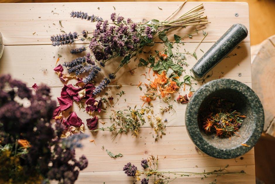 Phytothérapie : tout ce que vous devez savoir sur les plantes médicinales medicinal herbs and plants on wooden table flat lay