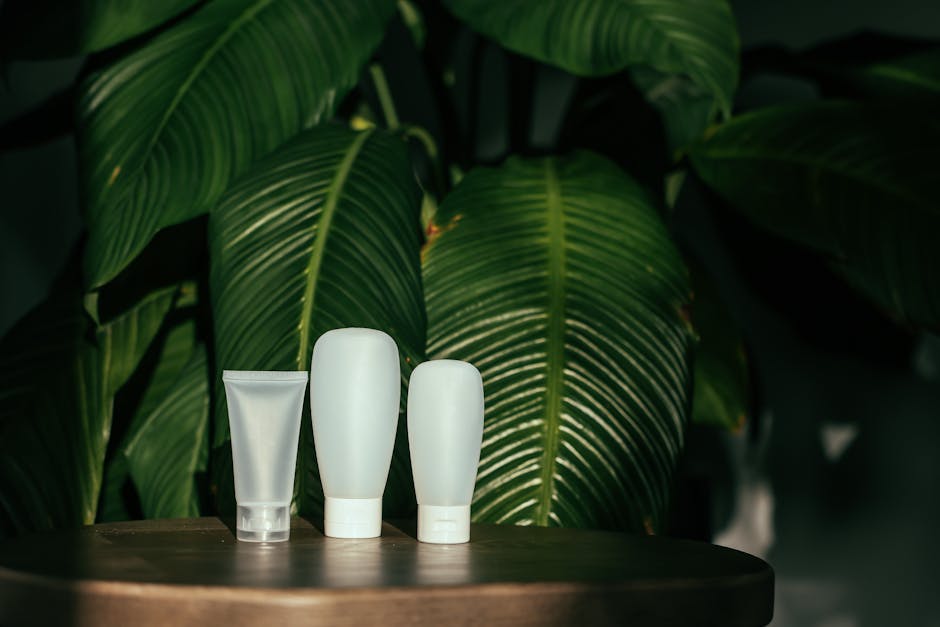 Phytothérapie : tout ce que vous devez savoir sur les plantes médicinales natural skincare products botanical ingredients green leaves